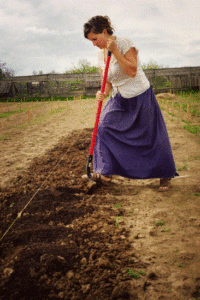 Choosing the Right Gardening Method for You Image